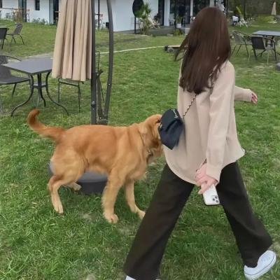 寻找眼镜蛇